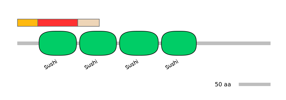 HsaEX6036488-INC