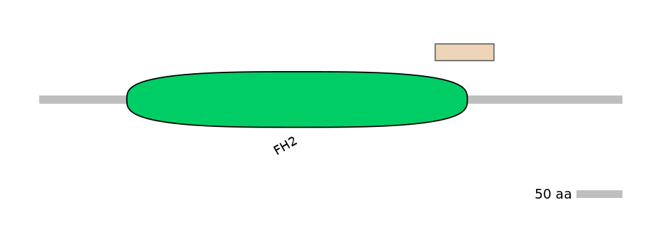 HsaEX6038705-EXC