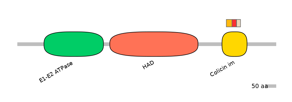 HsaEX6039638-INC