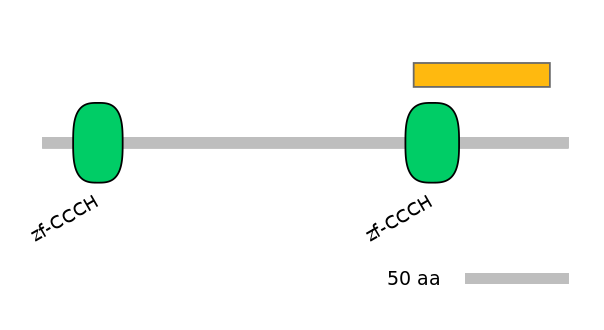 HsaEX6040781-EXC