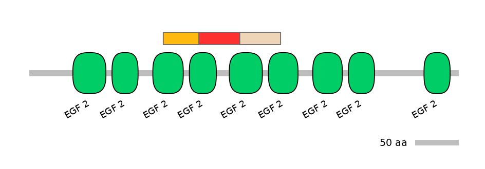 HsaEX6040970-INC
