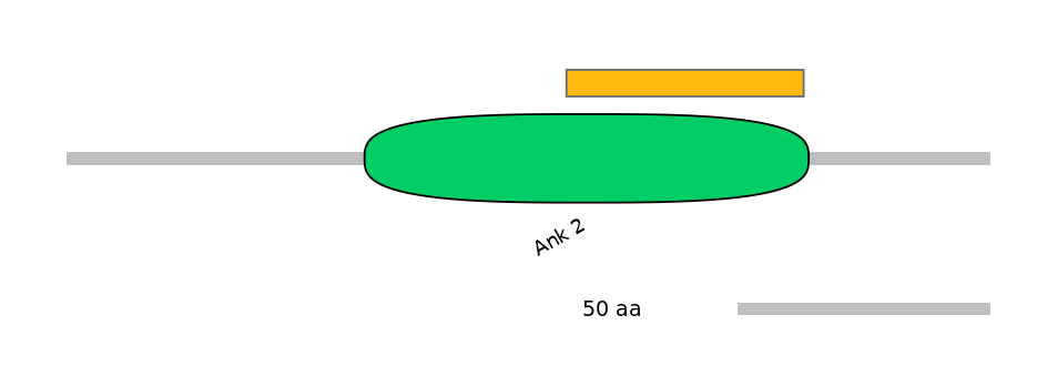 HsaEX6041045-EXC