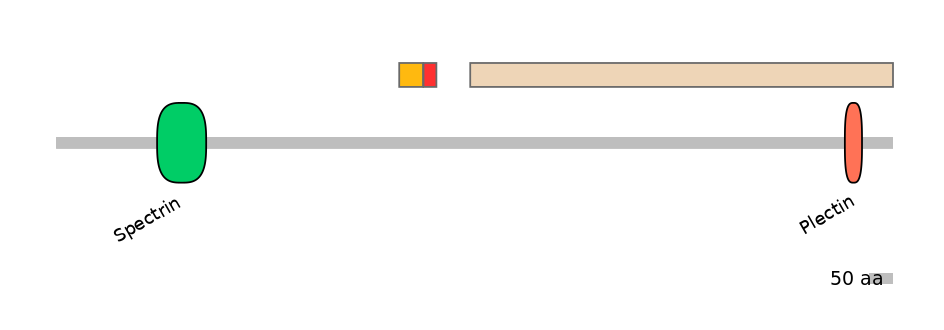 HsaEX6042191-INC