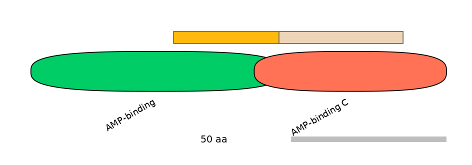 HsaEX6042615-EXC
