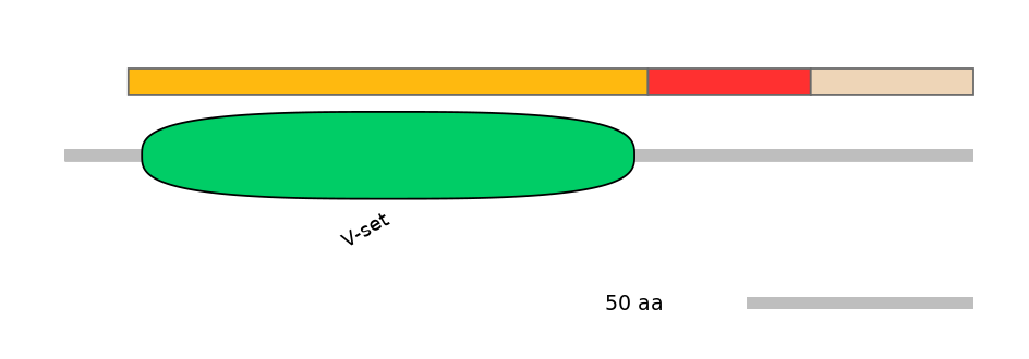 HsaEX6046263-INC