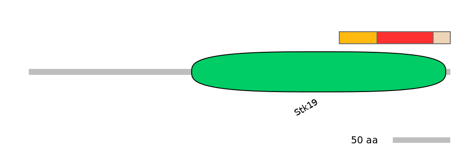 HsaEX6046421-INC