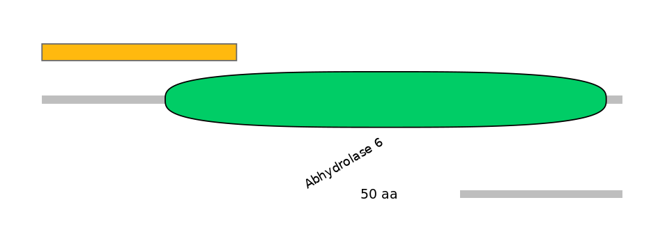 HsaEX6046461-EXC