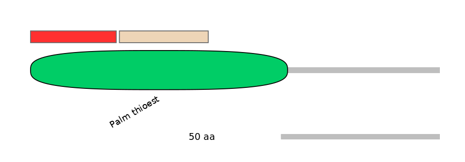 HsaEX6046461-INC