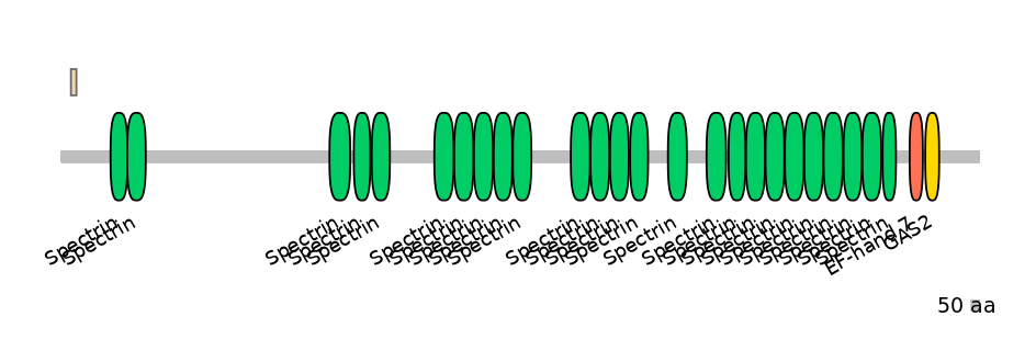 HsaEX6047849-EXC
