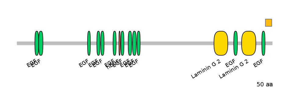 HsaEX6047988-EXC