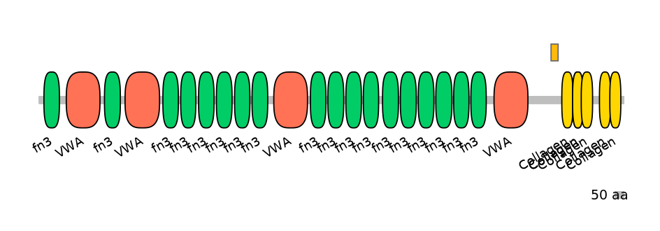 HsaEX6048214-EXC