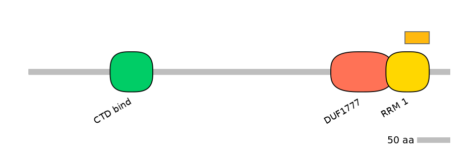 HsaEX6050104-EXC