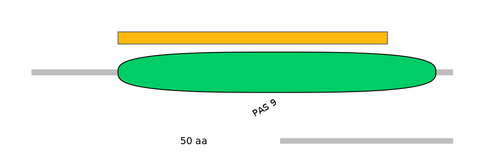 HsaEX6054699-EXC