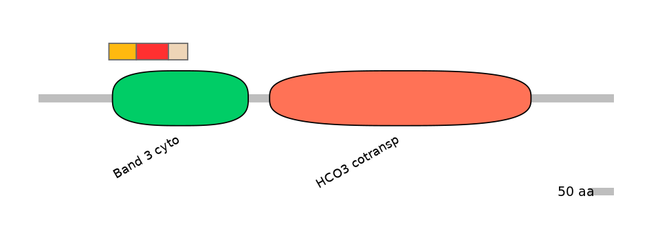 HsaEX6054819-INC