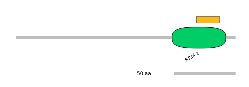 HsaEX6054847-EXC