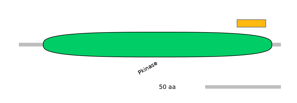 HsaEX6055105-EXC