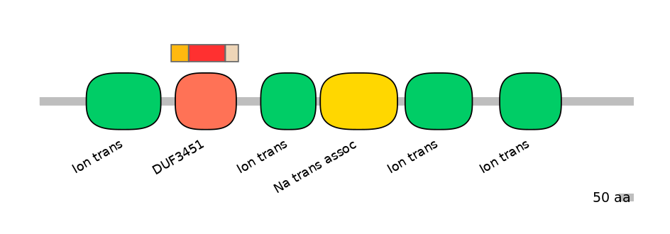 HsaEX6055147-INC