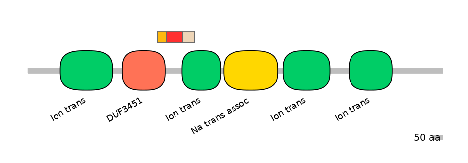 HsaEX6055149-INC