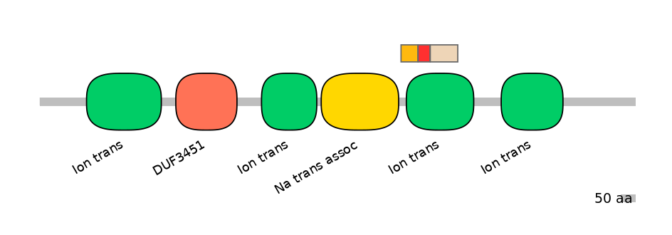 HsaEX6055155-INC