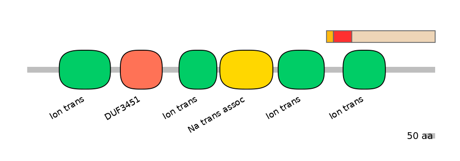HsaEX6055159-INC