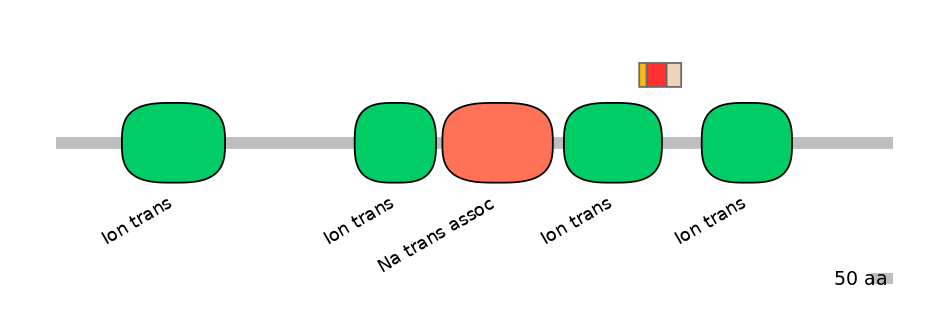HsaEX6055182-INC