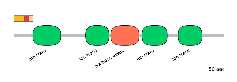 HsaEX6055185-INC