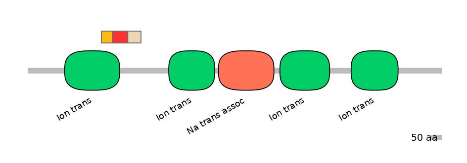 HsaEX6055192-INC