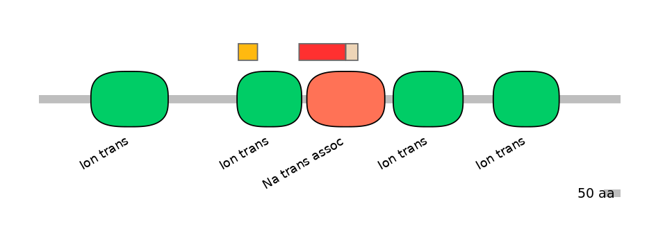 HsaEX6055198-INC