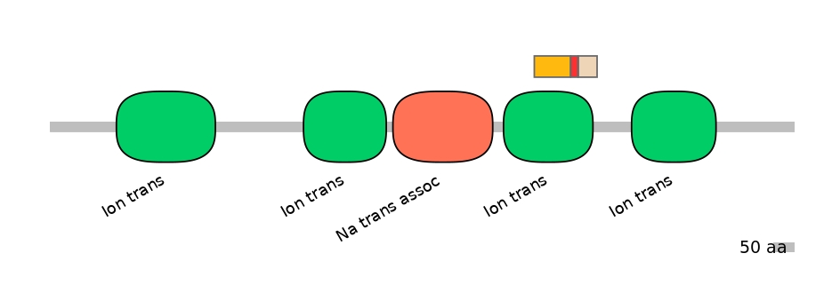 HsaEX6055205-INC