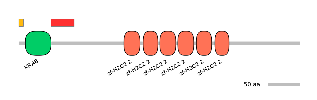 HsaEX6055275-INC