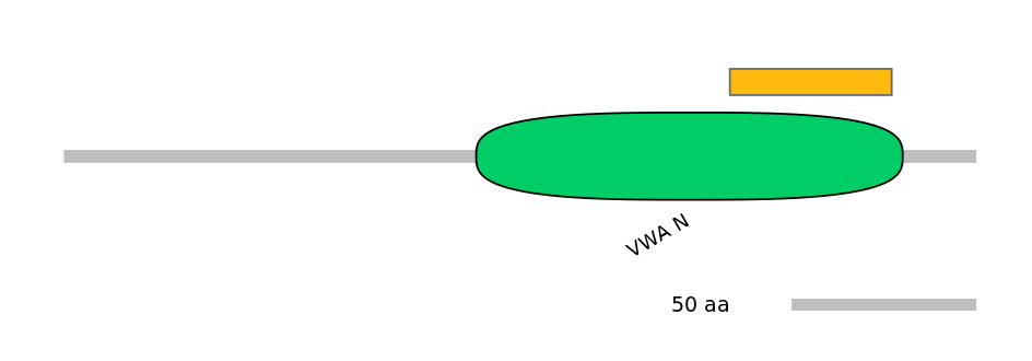 HsaEX6056690-EXC