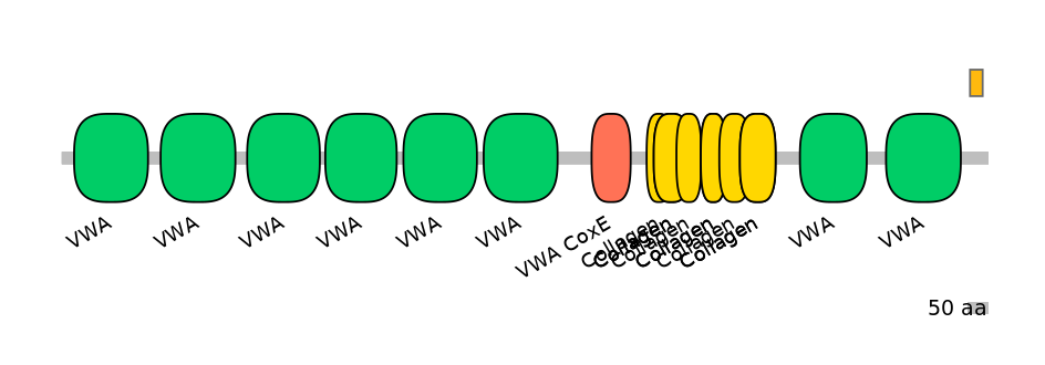 HsaEX6058437-EXC