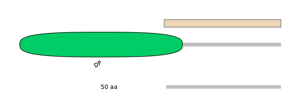 HsaEX6058864-EXC