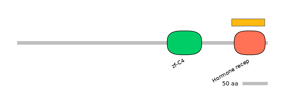 HsaEX6062177-EXC