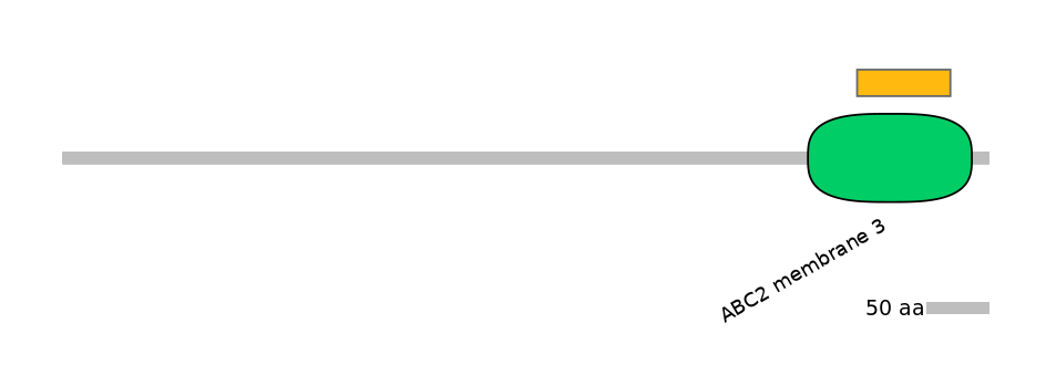 HsaEX6062279-EXC