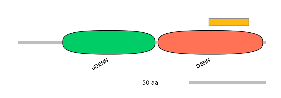 HsaEX6062942-EXC