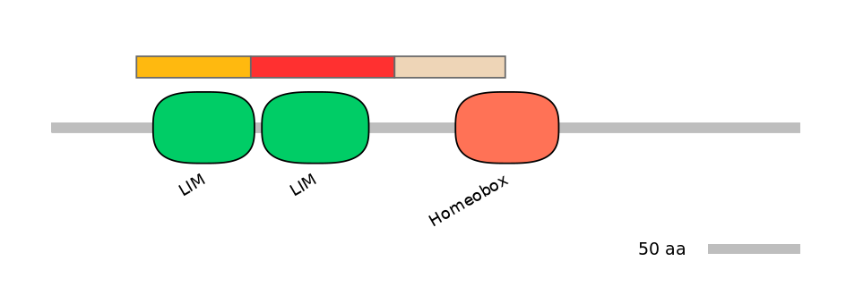 HsaEX6063063-INC