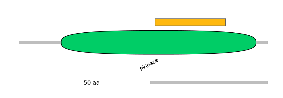 HsaEX6063130-EXC