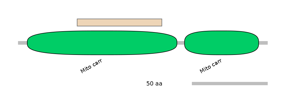 HsaEX6063164-EXC