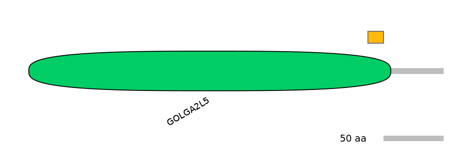 HsaEX6063210-EXC