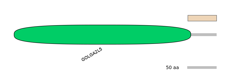 HsaEX6063211-EXC