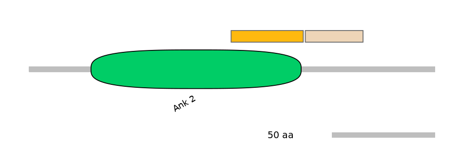 HsaEX6063421-EXC
