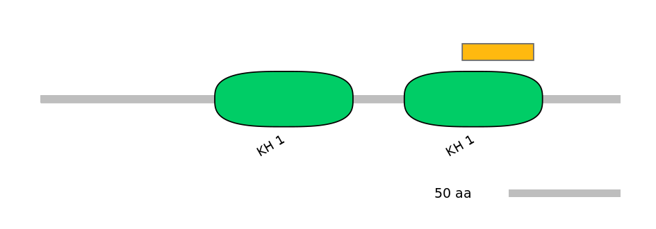 HsaEX6063522-EXC