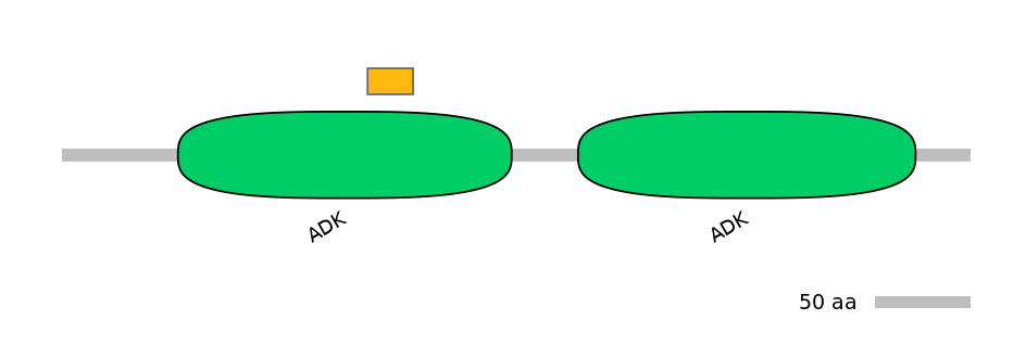 HsaEX6063677-EXC