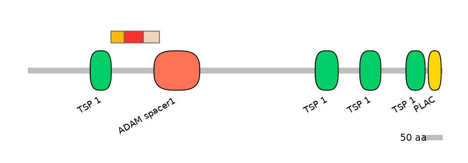 HsaEX6063775-INC