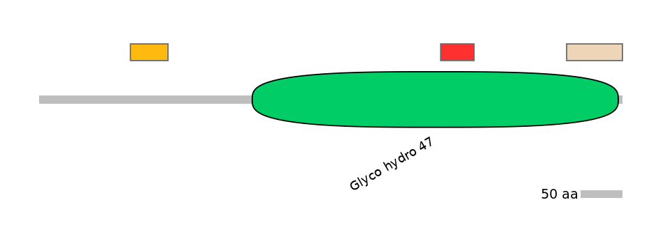 HsaEX6064198-INC