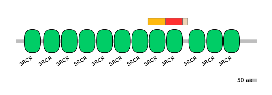 HsaEX6064966-INC