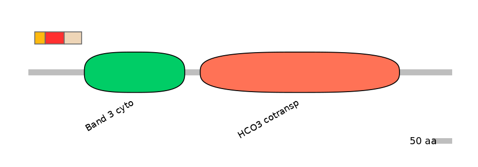 HsaEX6066575-INC