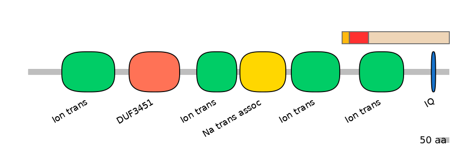 HsaEX6066577-INC