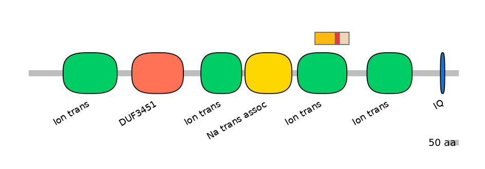 HsaEX6066580-INC